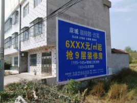 京山墙体广告质量分析