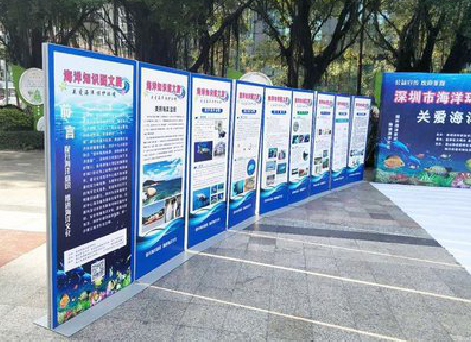 京山KT板的种类和知识。